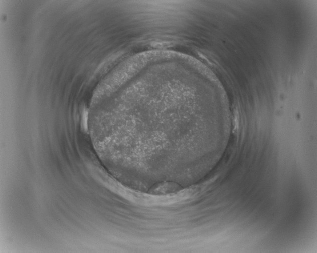 X0000053060046200508011925