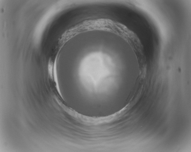 X0000053060047200508011925