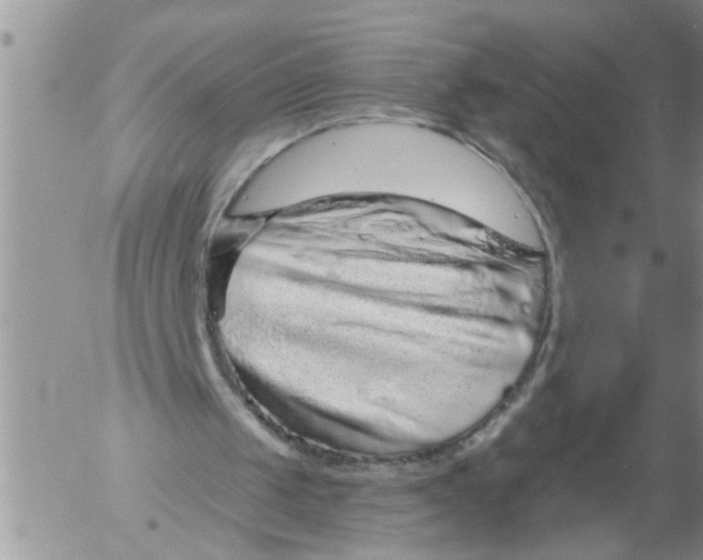 X0000053060049200508011924