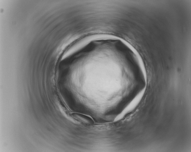 X0000053060050200508011924