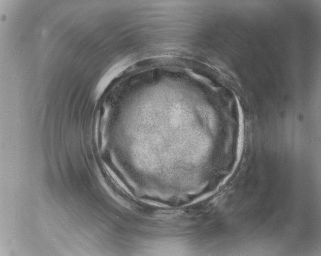 X0000053060051200508011924