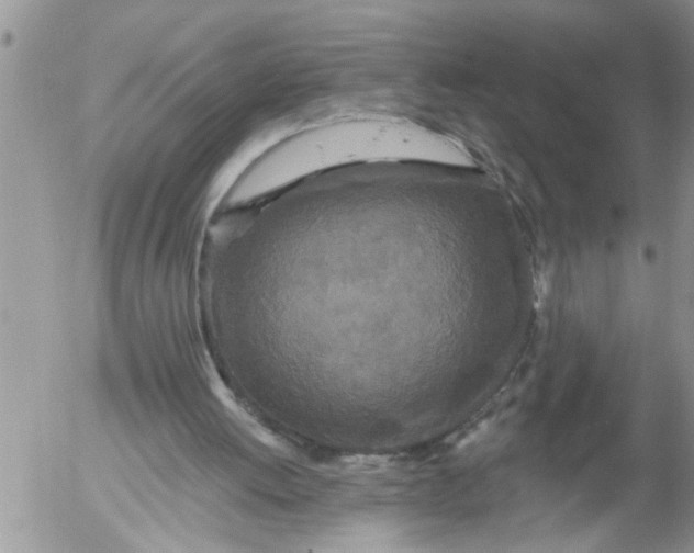 X0000053060052200508011924