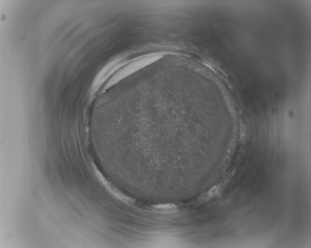 X0000053060053200508011924