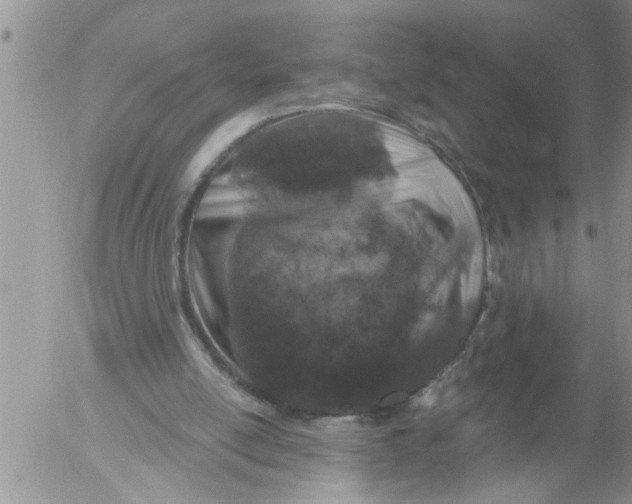 X0000053060054200508011924