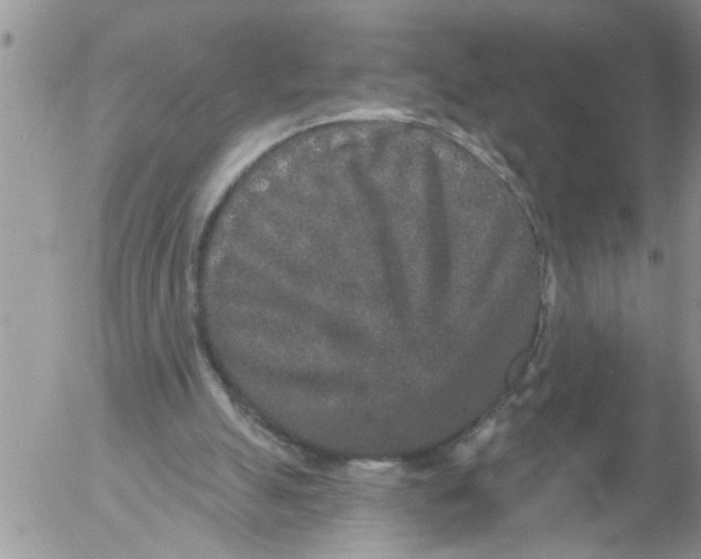 X0000053060055200508011924