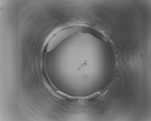 X0000053060056200508011925