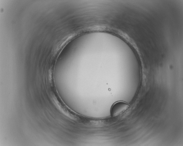 X0000053060057200508011925