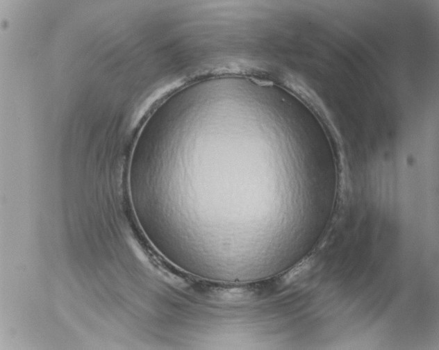 X0000053060058200508011925