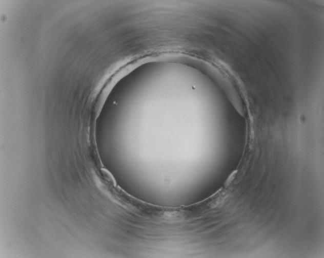 X0000053060060200508011925