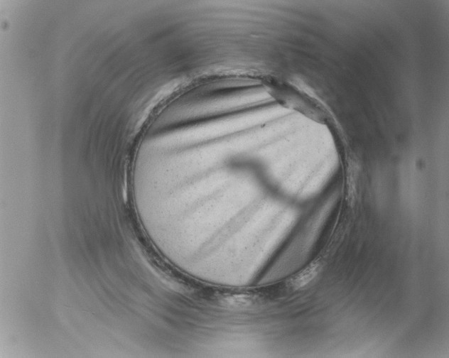 X0000053060062200508011925