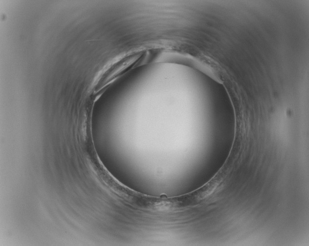 X0000053060064200508011925