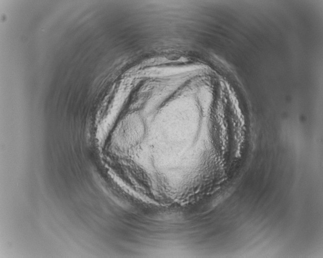 X0000053060065200508011925