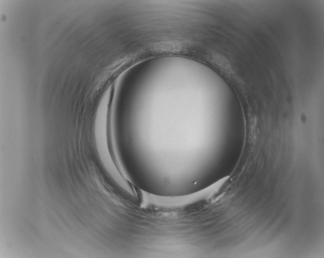 X0000053060068200508011925