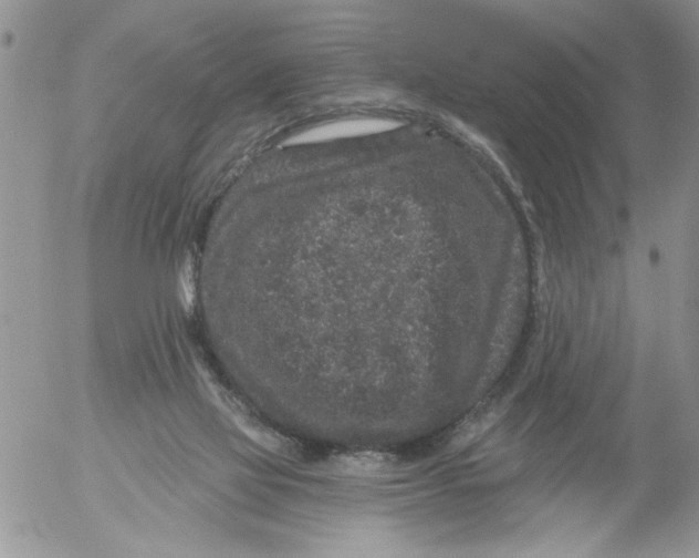 X0000053060069200508011925