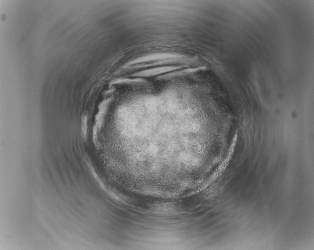 X0000053060070200508011925