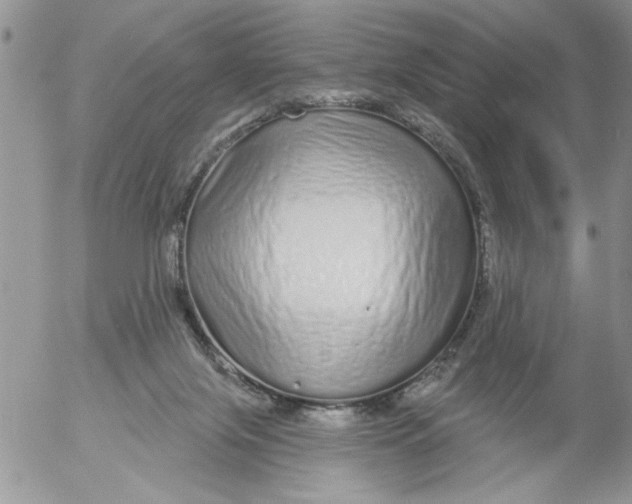 X0000053060071200508011925