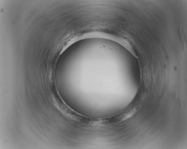 X0000053060072200508011925