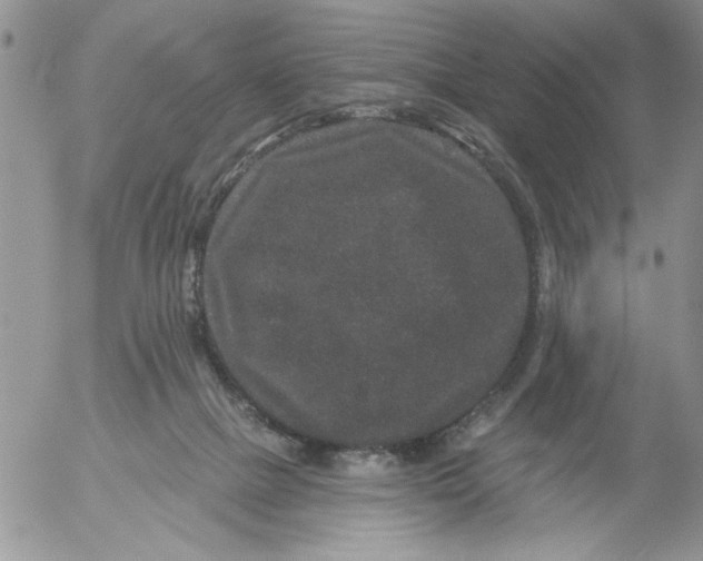 X0000053060073200508011925