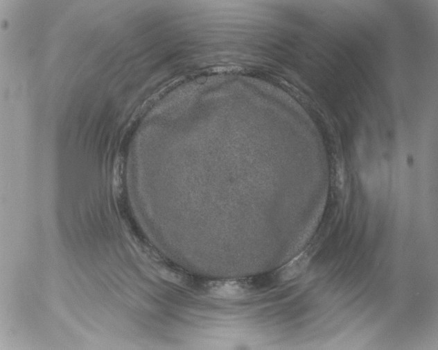 X0000053060074200508011925