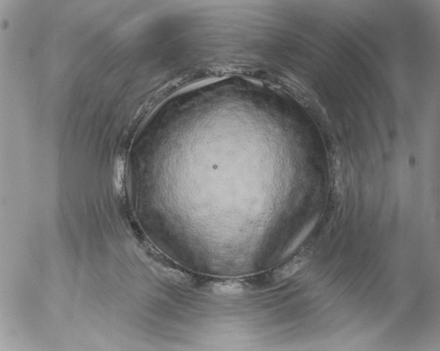 X0000053060075200508011925