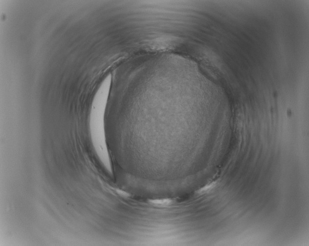 X0000053060076200508011925