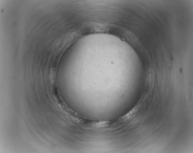 X0000053060078200508011925