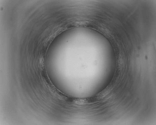 X0000053060079200508011925