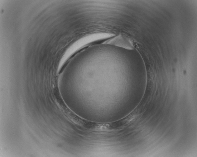 X0000053060080200508011925