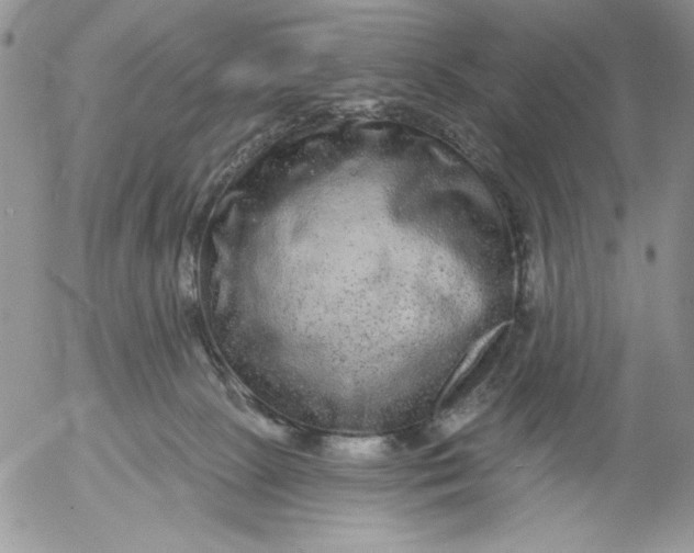 X0000053060081200508011925