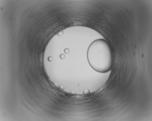 X0000053060082200508011925