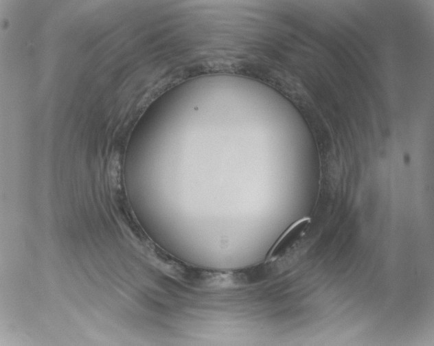 X0000053060083200508011925