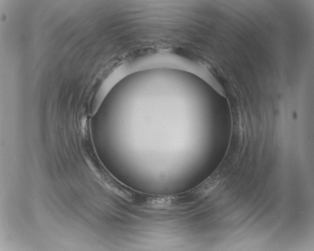 X0000053060084200508011925