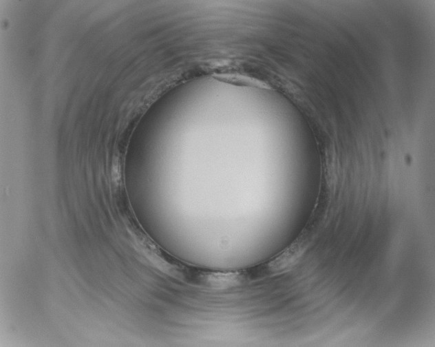 X0000053060085200508011925