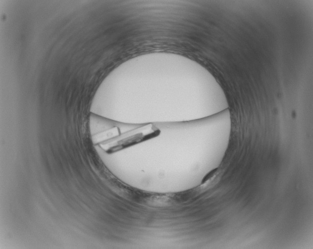 X0000053060086200508011925