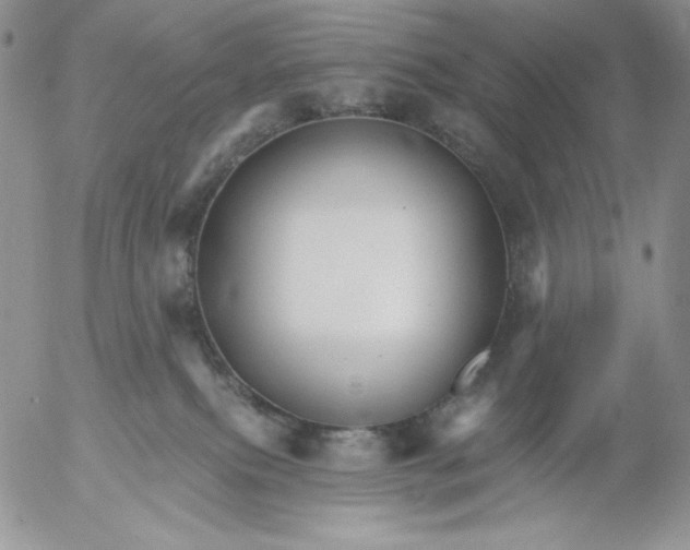 X0000053060087200508011925