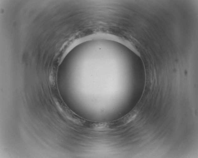 X0000053060088200508011925