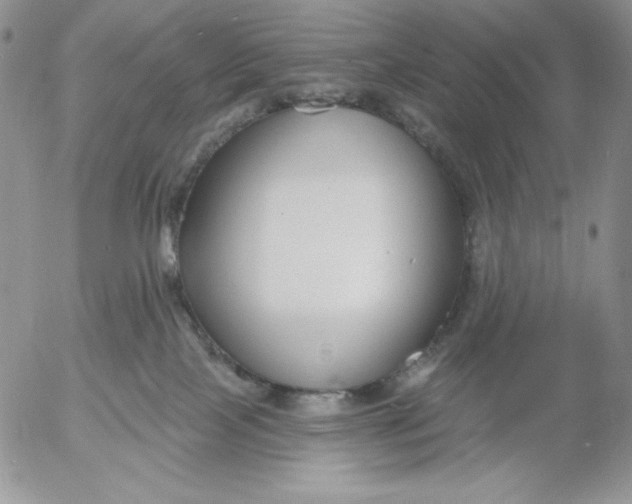 X0000053060089200508011925