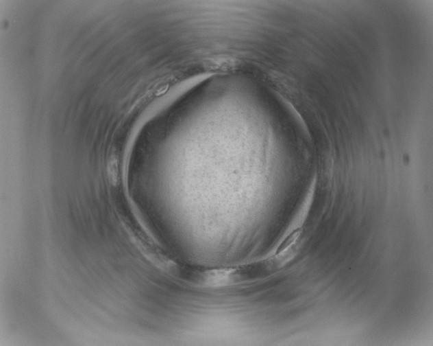 X0000053060090200508011925