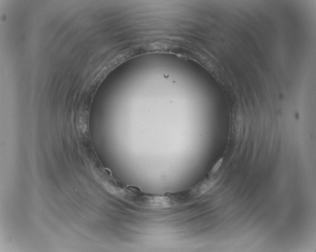 X0000053060091200508011925