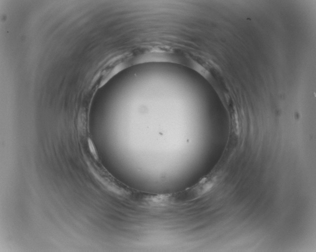 X0000053060092200508011925