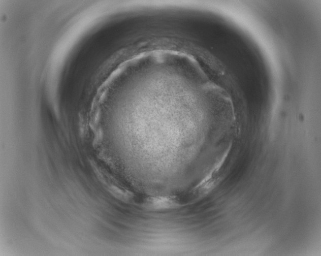 X0000053060093200508011925