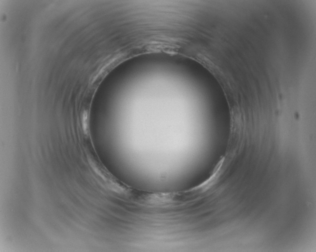 X0000053060094200508011925