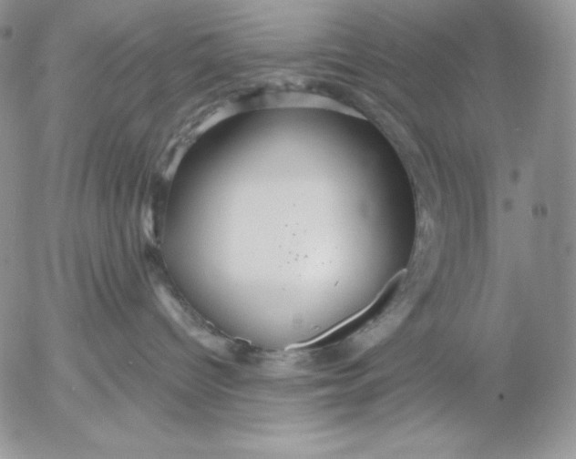 X0000053060096200508011925