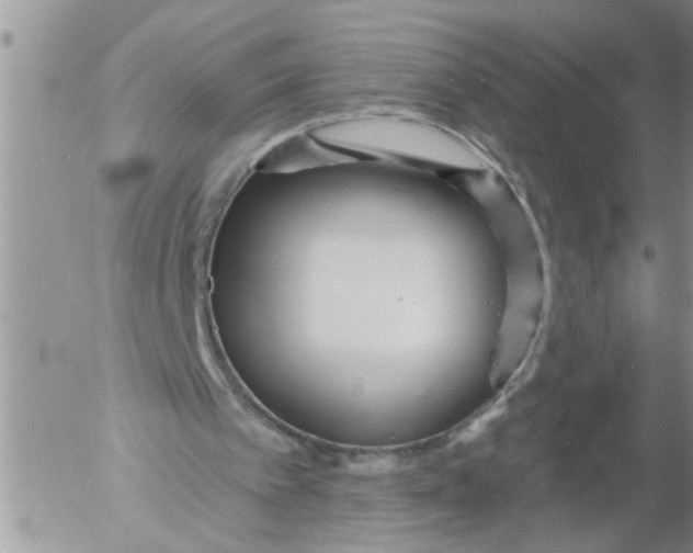 X0000053060097200508011924