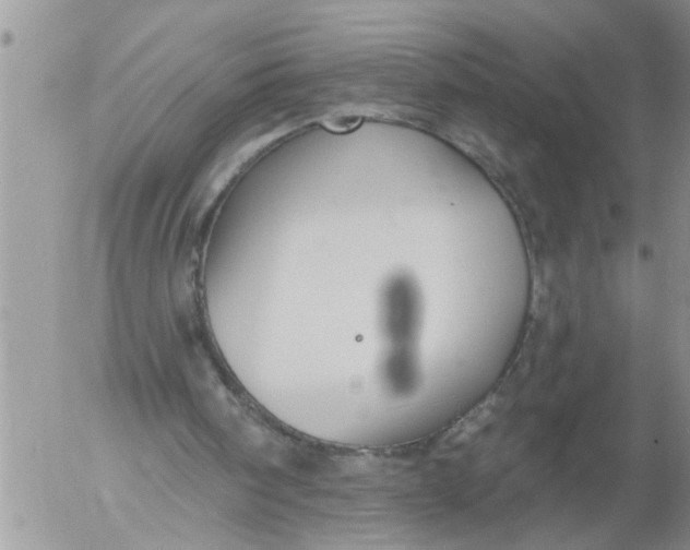 X0000053060098200508011924