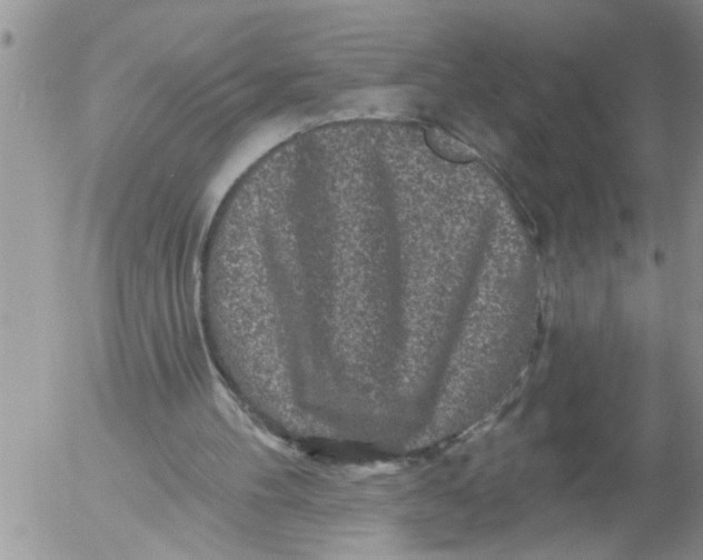 X0000053060100200508011924