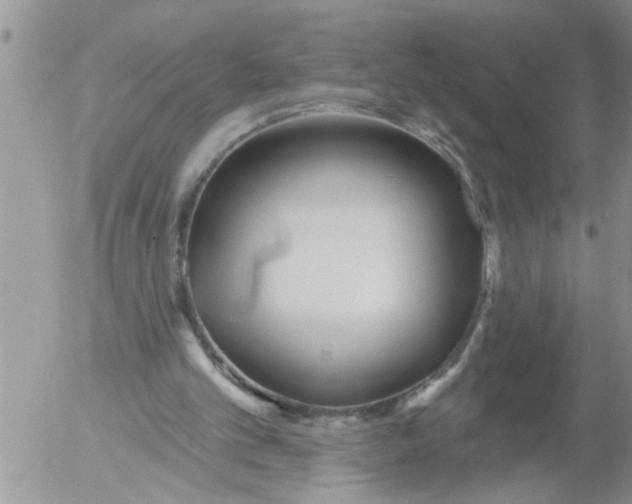 X0000053060101200508011924