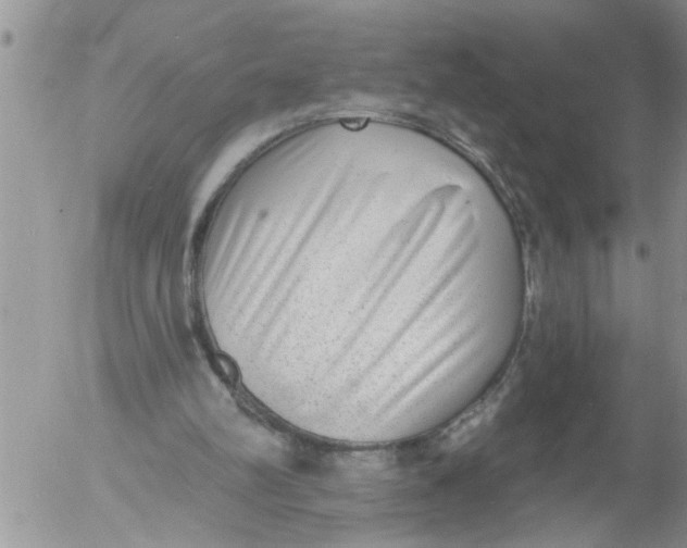 X0000053060102200508011924