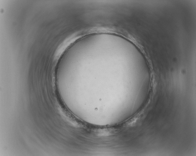 X0000053060103200508011924