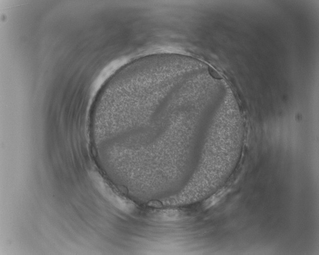 X0000053060104200508011924